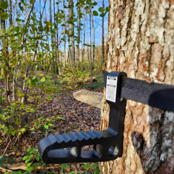 Ring of Steps LEAN ASCENT (4 steps + sangle à cliquet)