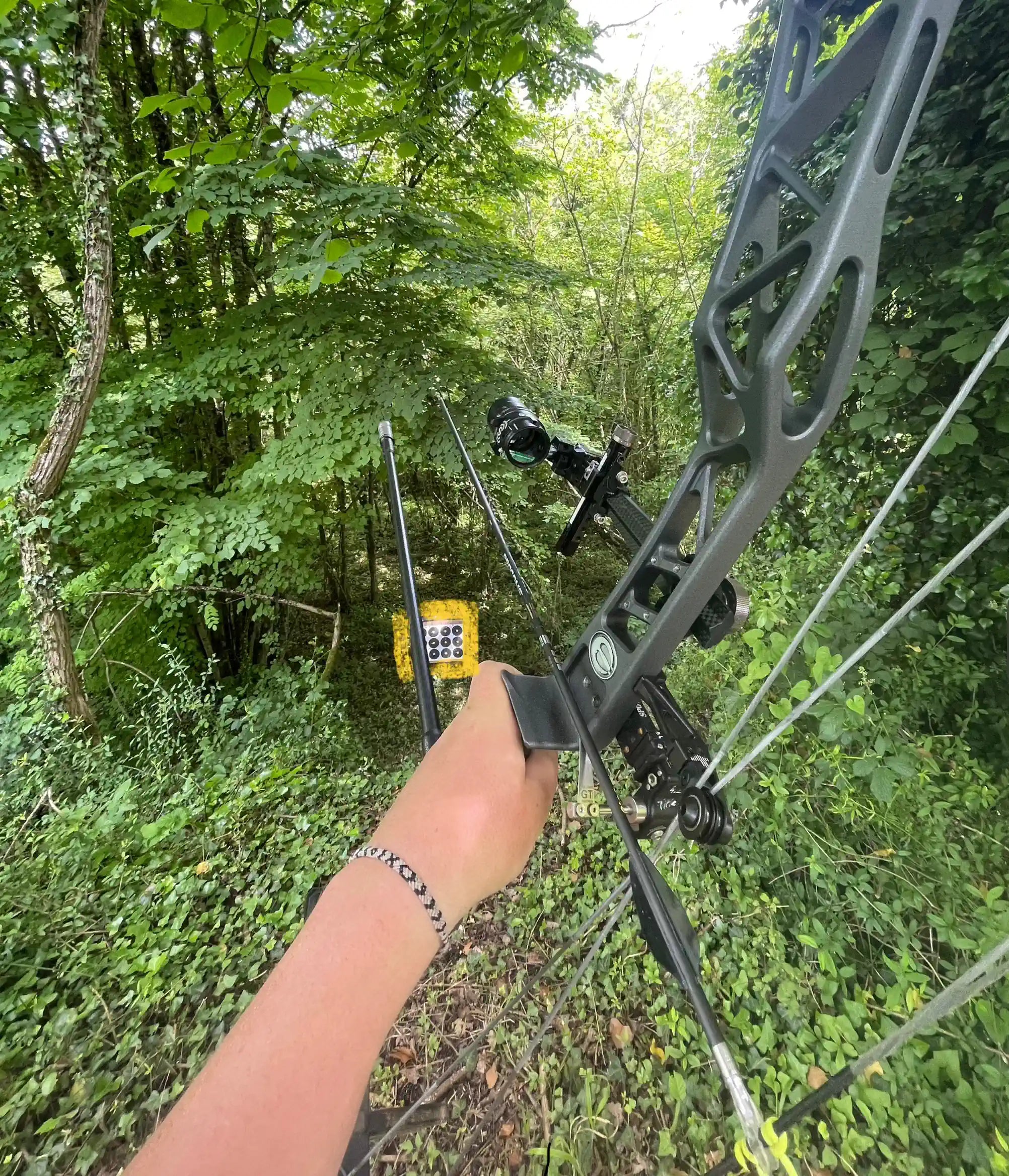 L'estimation en tir de campagne : Techniques et astuces – Donut Archery, image size:2004x2335