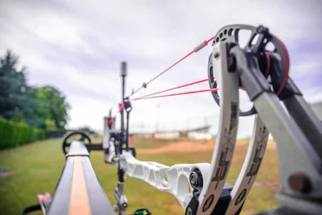 Cibles en paille tir à l'arc – Donut Archery