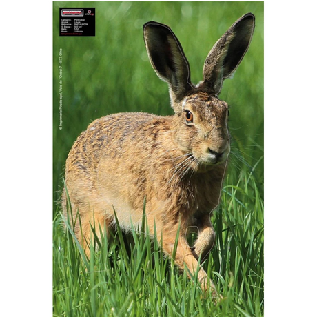 Blason Animalier Maximal Small Game 40X60 Hare Alert