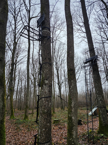 Treestand Hybride AUTOUR