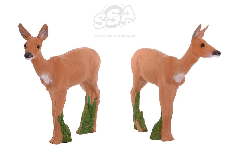 Cible 3D Beier Biche