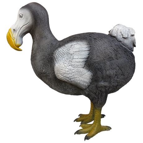 Cible 3D Eleven Dodo