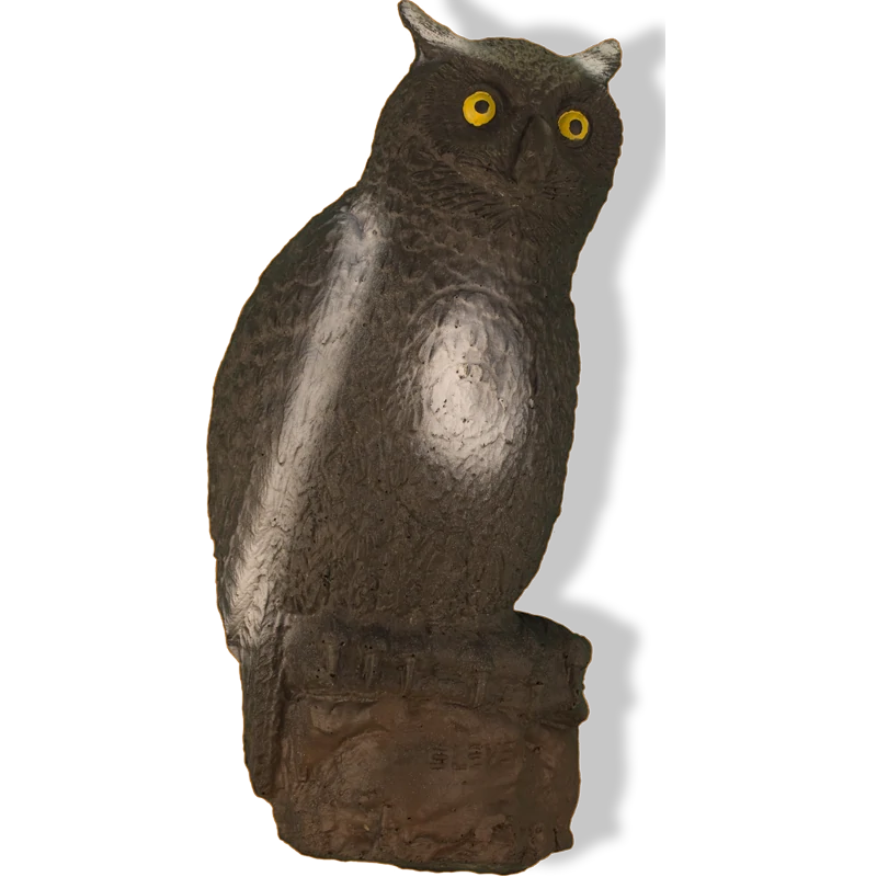 Cible 3D Eleven Owl