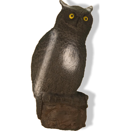 Cible 3D Eleven Owl