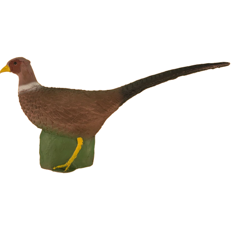 Cible 3D Eleven Pheasant