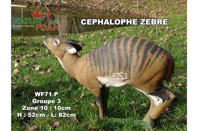  Cible 3D Natur Foam Cephalophus Zebra  