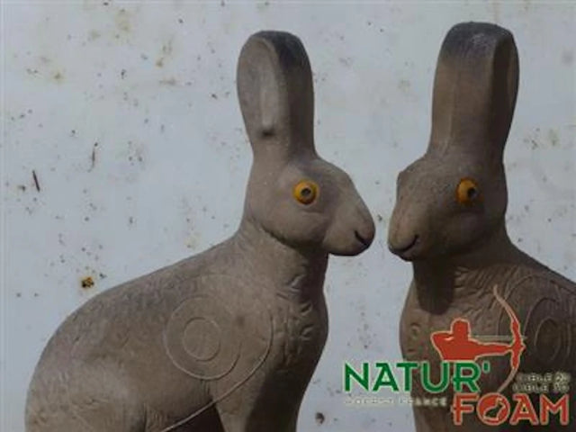  Cible 3D Natur Foam Hare - Sitting  