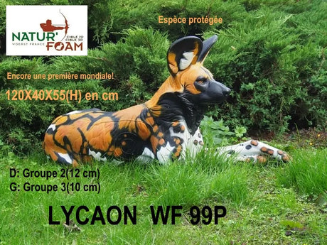 Cible 3D Natur Foam Lycaon