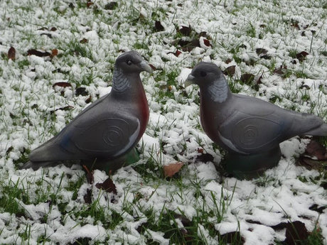 Cible 3D Natur Foam Pigeon