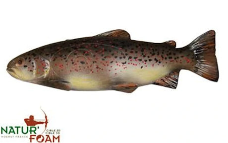 Cible 3D Natur Foam Trout