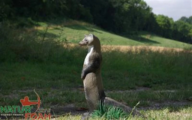  Cible 3D Natur Foam Weasel - Debout  