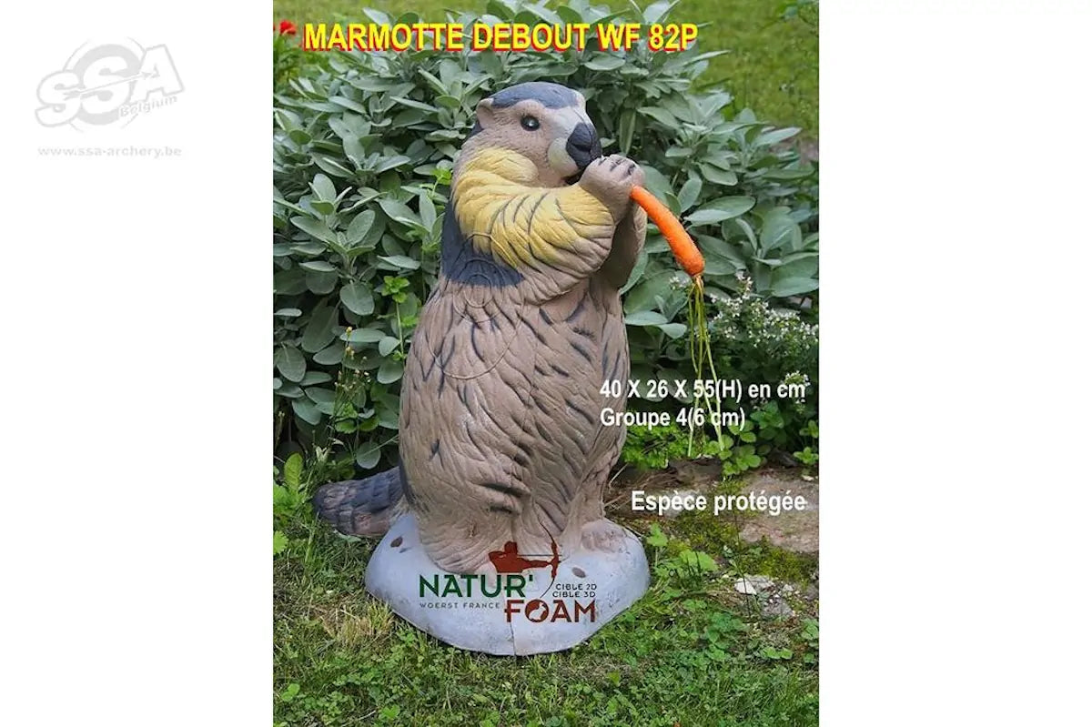 Cible 3D Natur Foam Marmotte - Debout