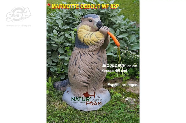  Cible 3D Natur Foam Marmotte - Debout  