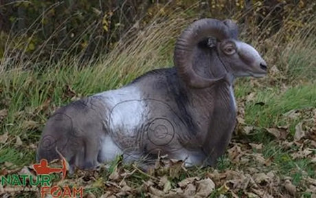 Cible 3D Natur Foam Mouflon - Lying