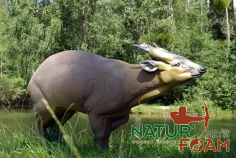 Cible 3D Natur Foam Muntjac