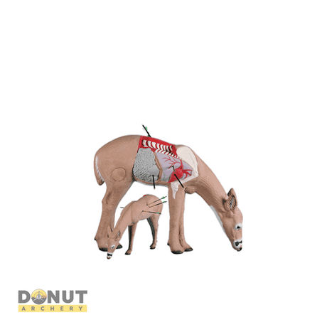 Cible 3D Rinehart 3D Anatomy Deer