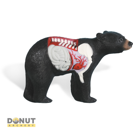 Cible 3D Rinehart 3D Anatomy Bear