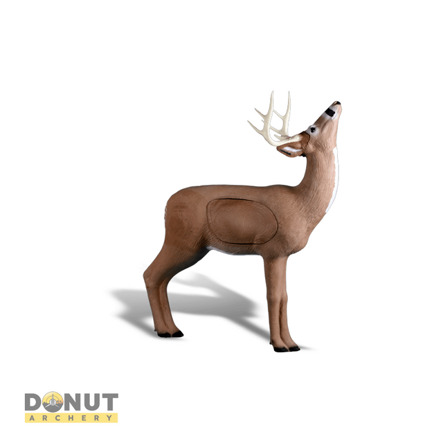  Cible 3D Rinehart 3D Deer Browsing Buck  