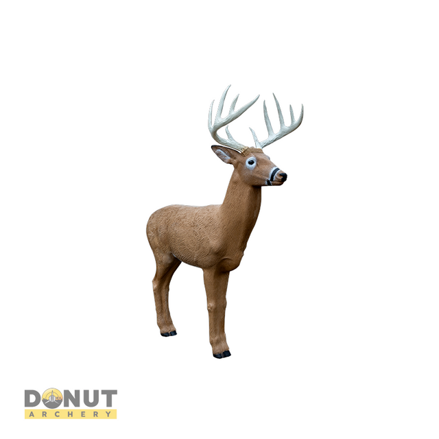  Cible 3D Rinehart 3D Midwest Buck  