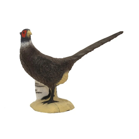 Cible 3D SRT Pheasant