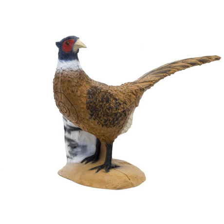 Cible 3D SRT Pheasant