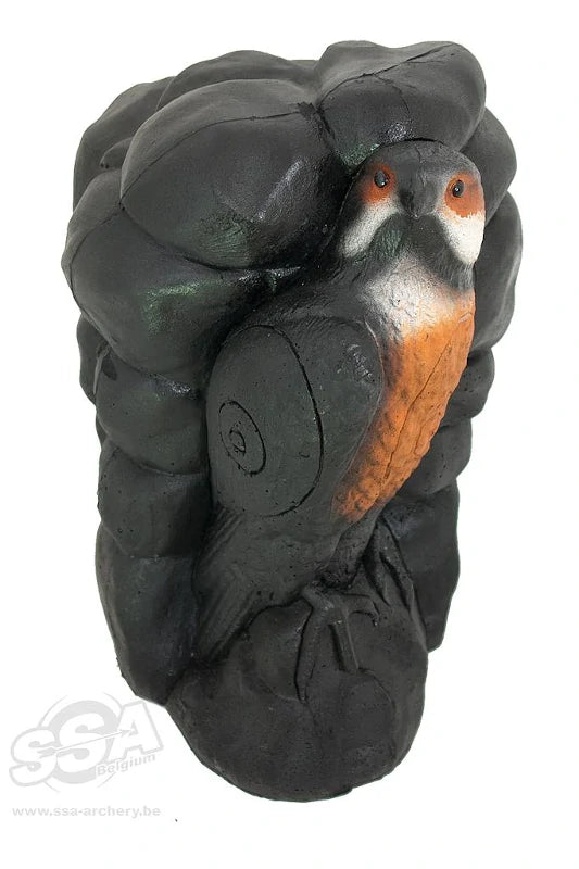  Cible 3D Wildlife Falcon / Falco Roccia  