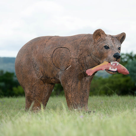 Cible 3D Wildcrete Brown Bear