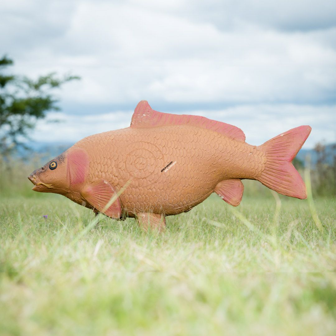 Cible 3D Wildcrete Carpe