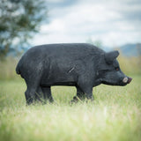 Cible 3D Wildcrete Feral Pig