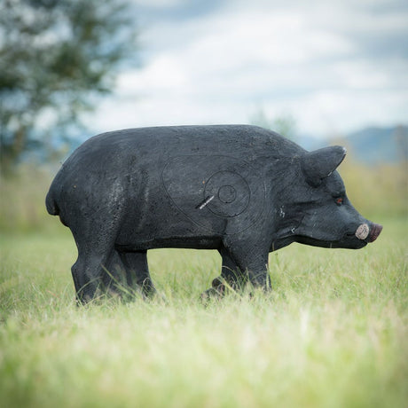 Cible 3D Wildcrete Feral Pig