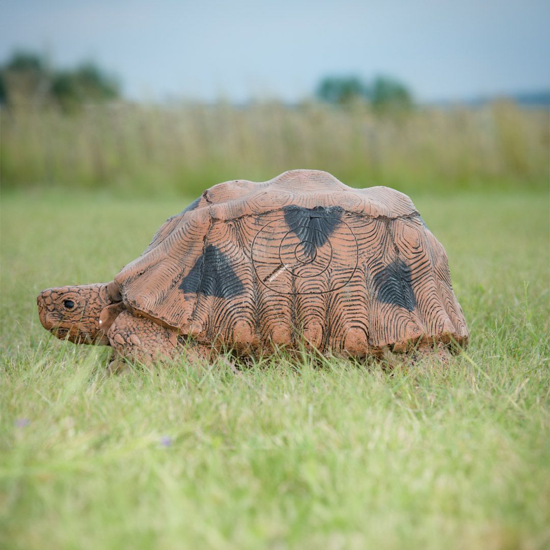 Cible 3D Wildcrete Tortue