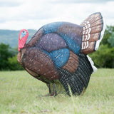 Cible 3D Wildcrete dindon