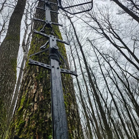 Echelon Grimpereaux (par 4)