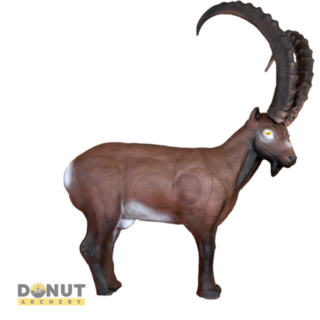Cible 3D Eleven Ibex With Insert And Horns