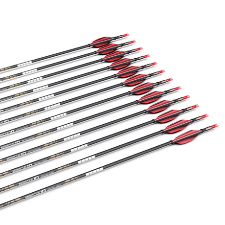 Fleches Carbone Sanlida Hero Classique