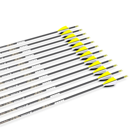 Fleches Carbone Sanlida Hero Classique