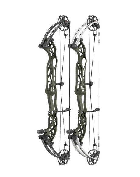 Arc à poulie HOYT Concept XTS CDM 37 Branches Blanches