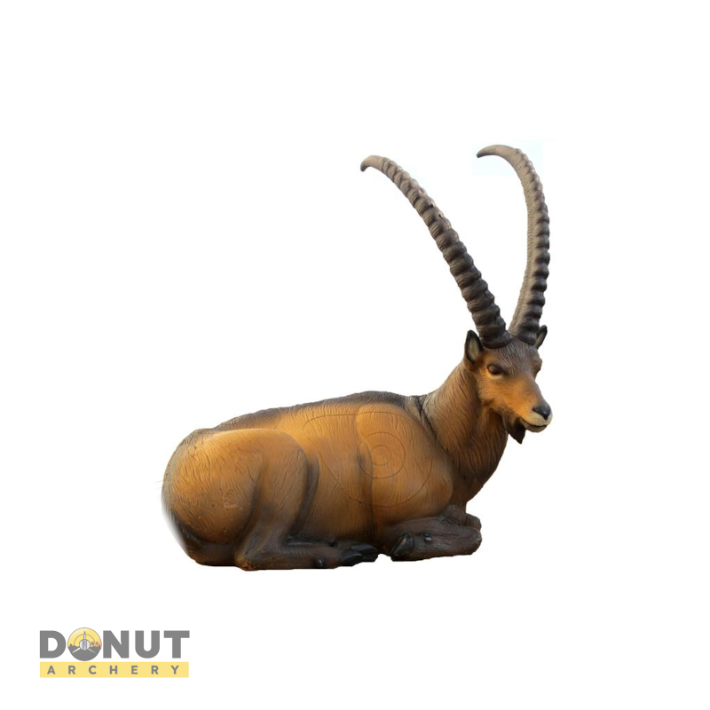 Cible 3D SRT Ibex Couché