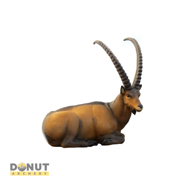  Cible 3D SRT Ibex Couché  