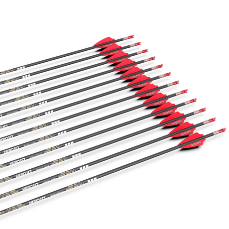 Fleches Carbone Sanlida Hero Compound