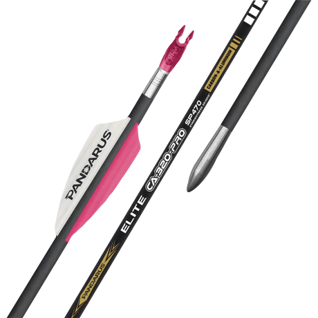 Tube nu flèche Pandarus CA320 Pro (par 12)