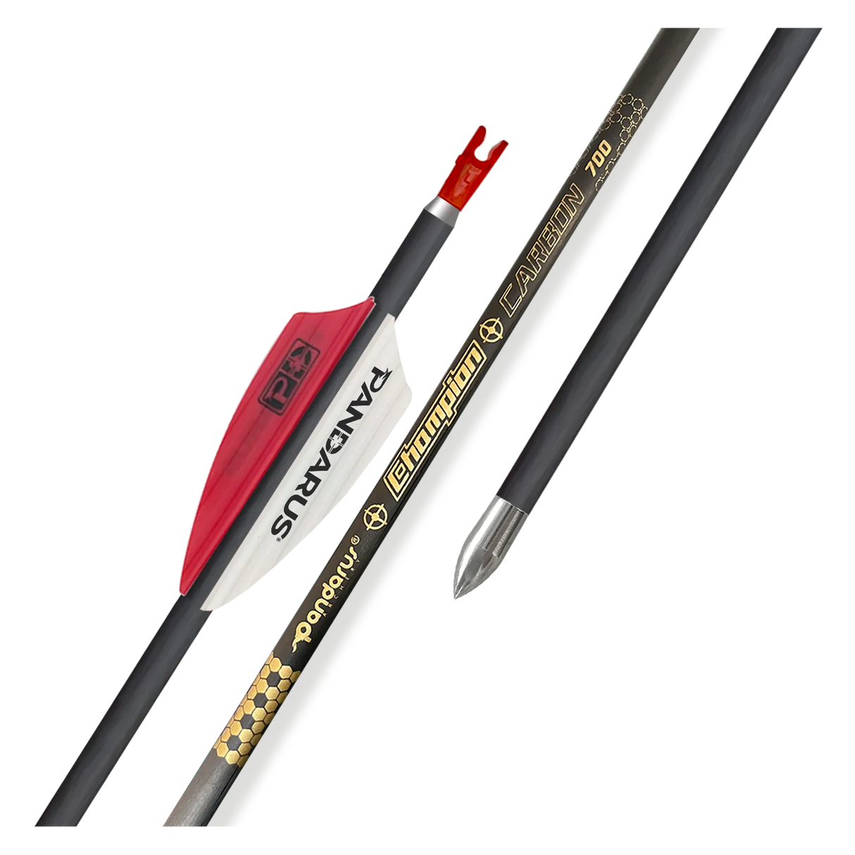 Tube nu flèche Pandarus Champion (par 12)