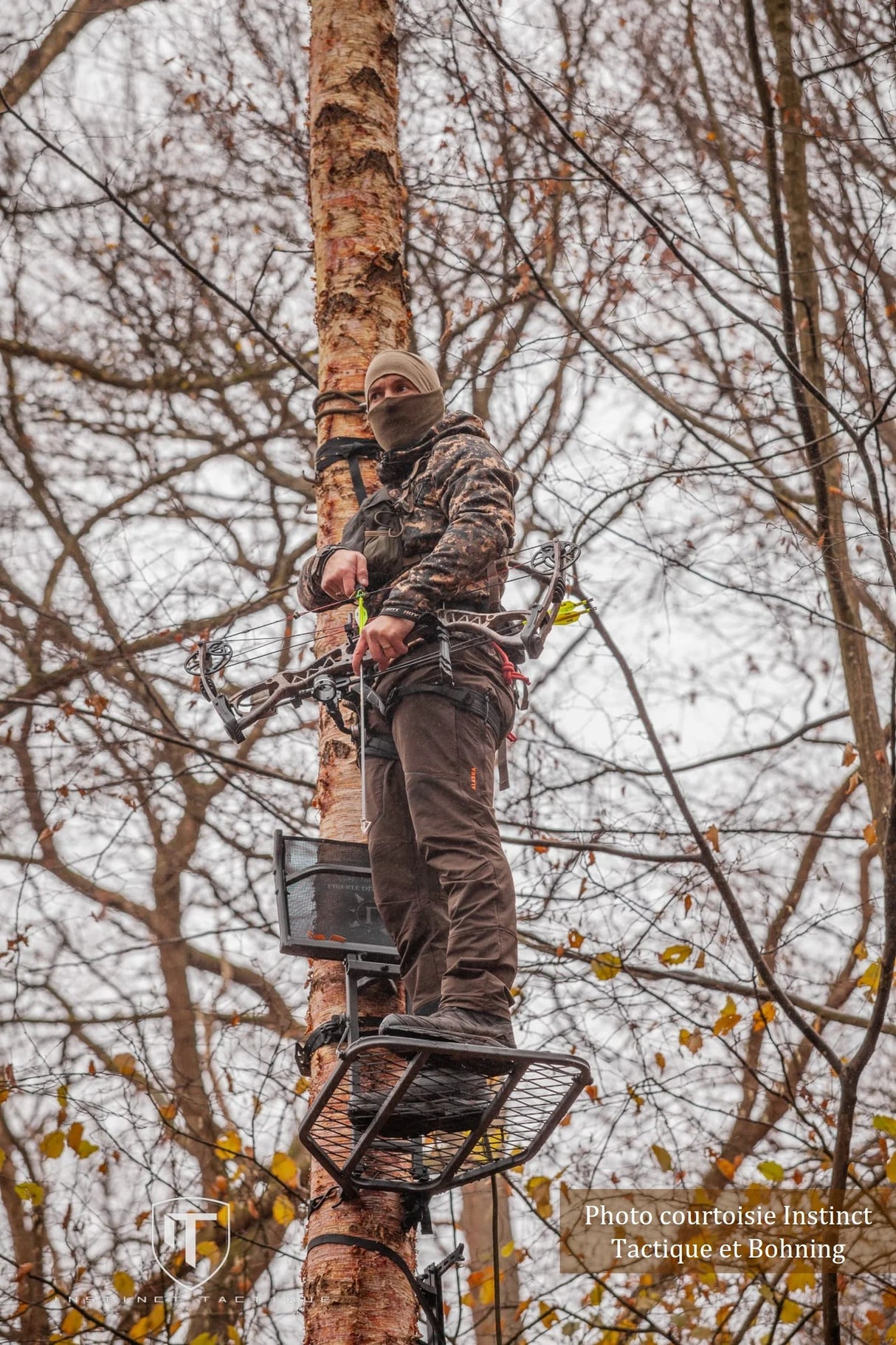 Treestand Hybride AUTOUR